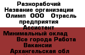 Разнорабочий › Название организации ­ Олимп, ООО › Отрасль предприятия ­ Ассистент › Минимальный оклад ­ 25 000 - Все города Работа » Вакансии   . Архангельская обл.,Коряжма г.